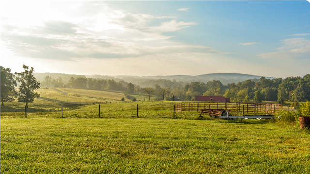 A broad view of a grassy farm